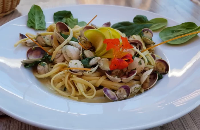 Cuisine provençale faite maison — plat du jour avec produits frais locaux et pêche méditerranéenne, La Table d'Elena